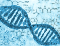 NASA попытается разгадать тайну изменения человеческой ДНК в космосе