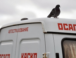 В ГД опасаются, что из-за новых правил ОСАГО авто начнут "чинить кувалдой"