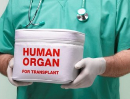 Найден способ узнать об отторжении органа до того, как это произойдет