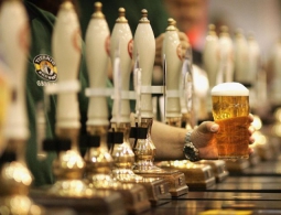 Пинта пива в день может снижать риск сердечного приступа