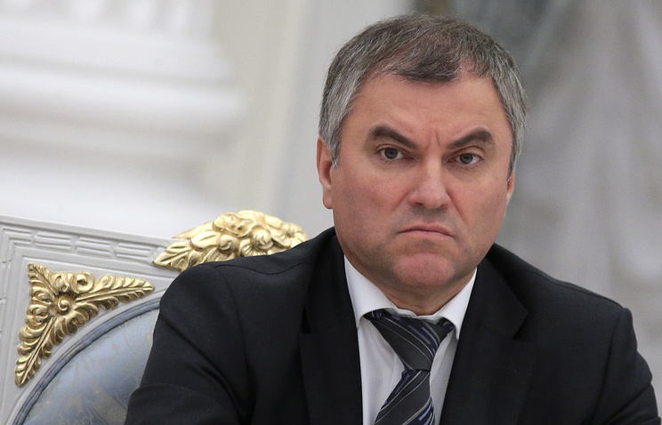Володин не дал спикеру ПА ОБСЕ увести разговор от темы погромов банков РФ на Украине