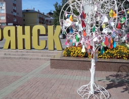 В Брянске испортили инсталляцию