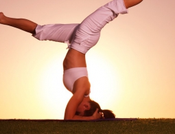 Wellness: актуальные тенденции в области питания и фитнеса