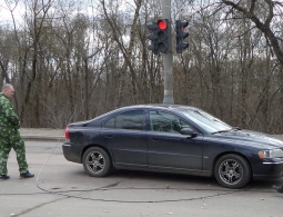 В Брянске на проводах повисло старое дерево