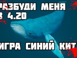 Синий кит: игра или массовый психоз?