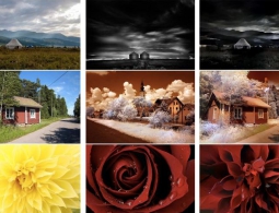 Нейронная сеть научилась переносить стиль одного фото на другое