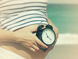 Васильева рассказала, когда родившие студентки смогут перевестись на бюджет