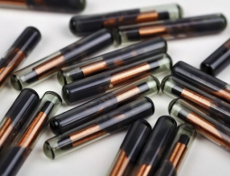 Сотрудникам шведской компании вживляют подкожные микрочипы