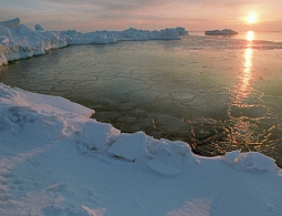 СМИ: Россия создаст корабль для уборки радиоактивного мусора в Арктике