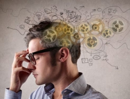 Новое открытие бросает вызов нашим представлениям о формировании памяти