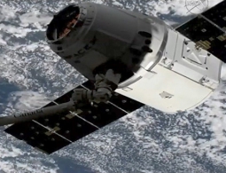 "Как тебе такое, Илон Маск?": в "Роскосмосе" рассказали, чем ответят SpaceX