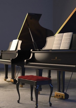 Концерт для двух фортепиано