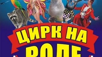 Цирк на воде