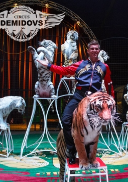 Цирк Демидовых