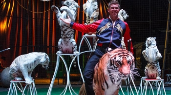 Цирк Демидовых