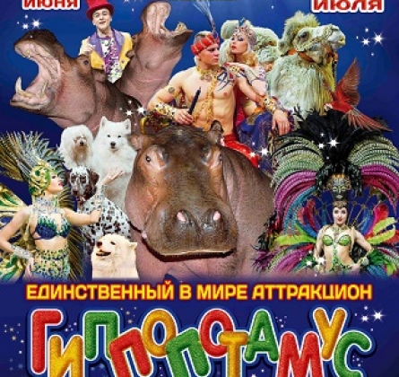 ЦИРК | Гиппопотамус