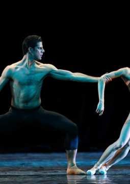 Гала концерт | Context Lab