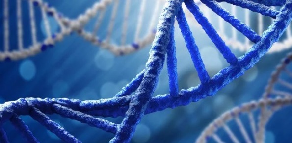 Twist Bioscience запишет вашу любимую песню прямо в ДНК
