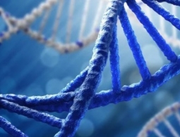 Twist Bioscience запишет вашу любимую песню прямо в ДНК