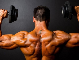 Ученые впервые создали «настоящую искусственную» мышечную ткань