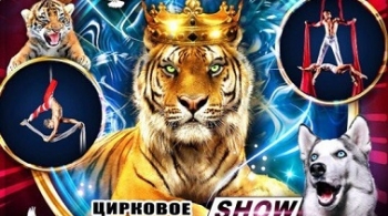 Цирк шапито | ЗВЁЗДНЫЙ