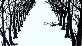 Кошка, которая гуляла сама по себе