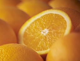 8 продуктов, которые лучше не есть, если вы пьяны