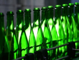 Выявлены новые уловки теневых сайтов по продаже алкоголя в России
