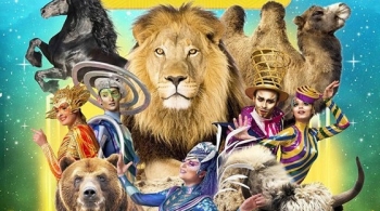 Цирк | Звездный круиз