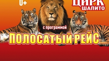 Московский Цирк Шапито Арена Ягуар