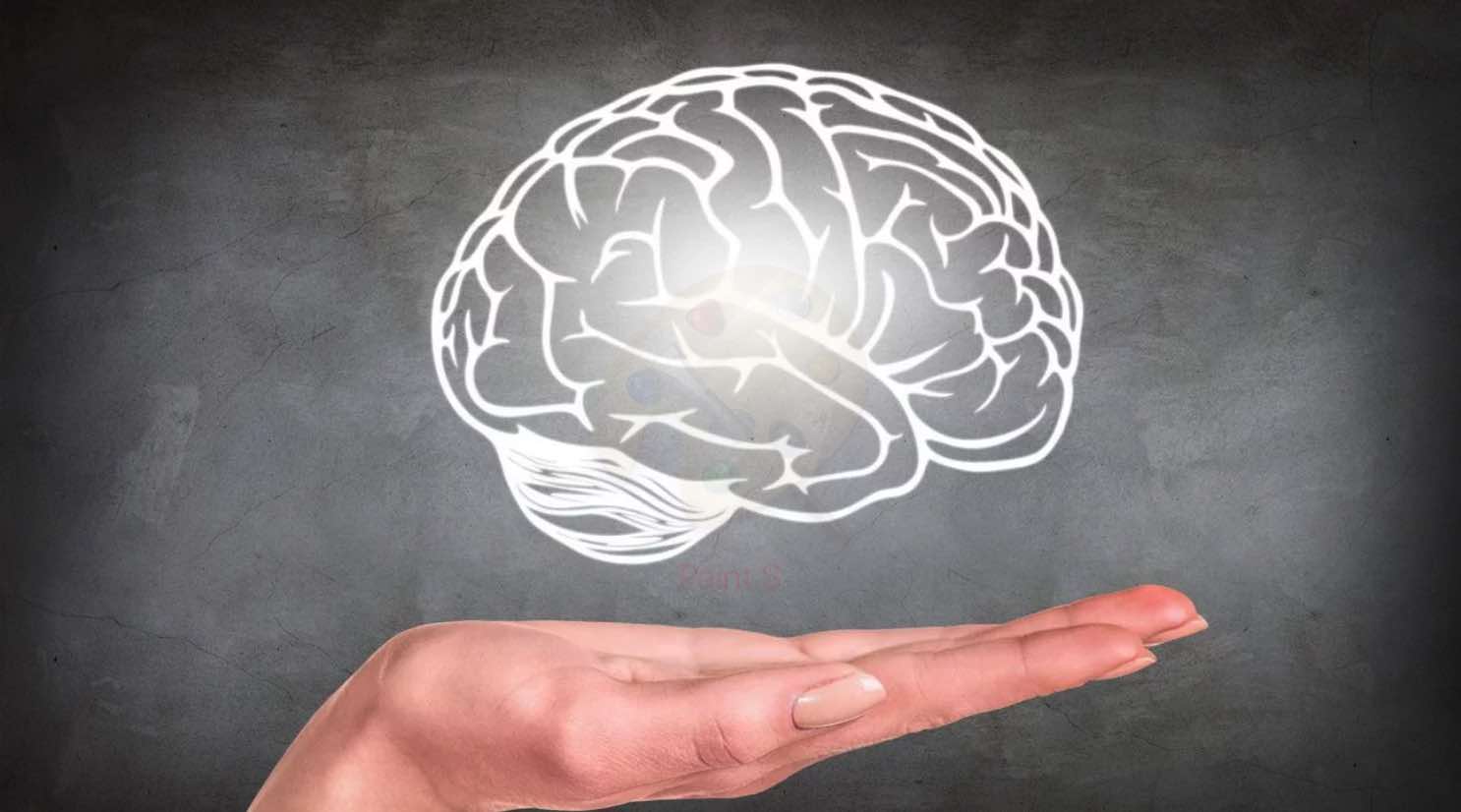 Церебральная мистика: мозг — это душа, компьютер или нечто большее?
