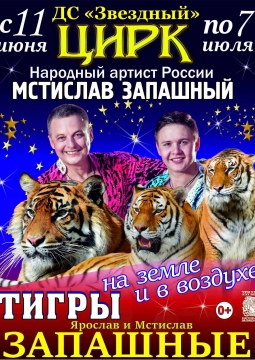 Тигры в воздухе и на земле | Мстислав Запашный