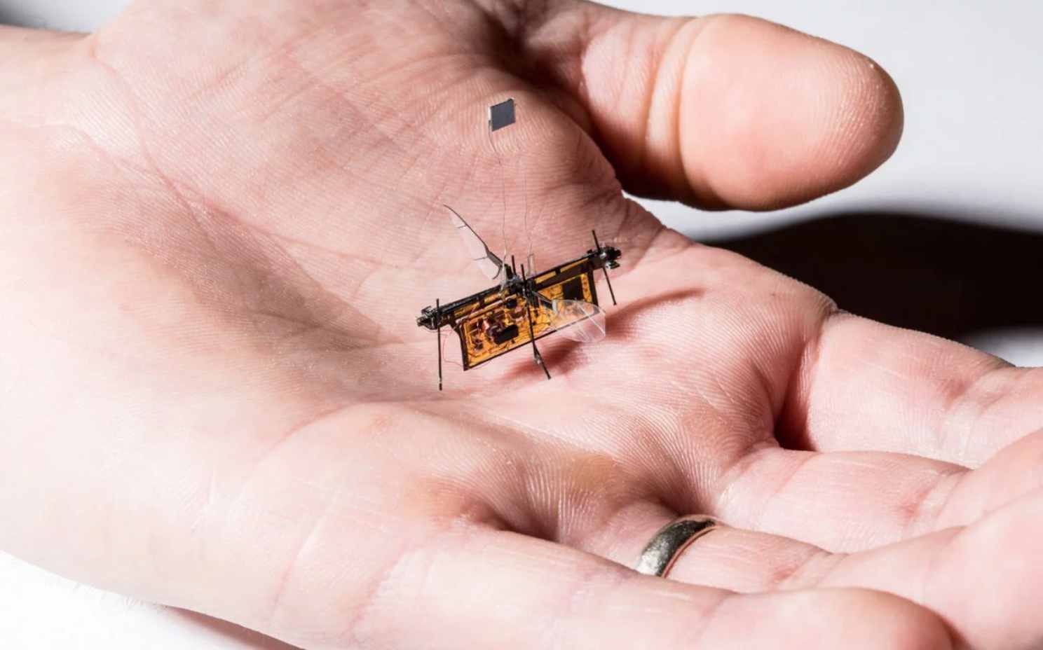 Робот-муха, которая получает энергию без проводов