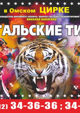 Тайна королевских тигров | Цирк