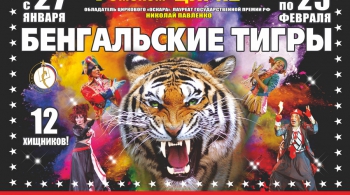 Тайна королевских тигров | Цирк