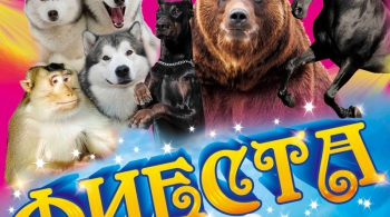 Цирк | ФИЕСТА