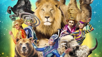 Цирк | Звездный круиз