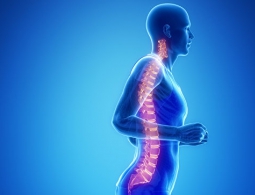 Ученые открыли гены, способные вылечить паралич после травмы спины