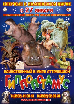 ЦИРК | Гиппопотамус