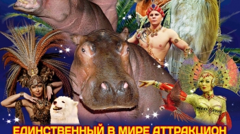 ЦИРК | Гиппопотамус