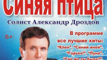 Синяя птица