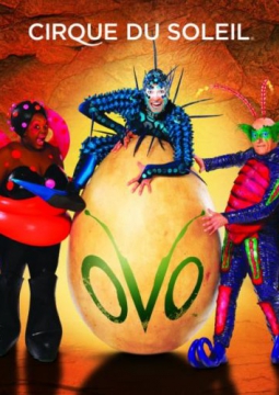 Цирк | CIRQUE DU SOLEIL
