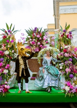 Фестиваль цветов