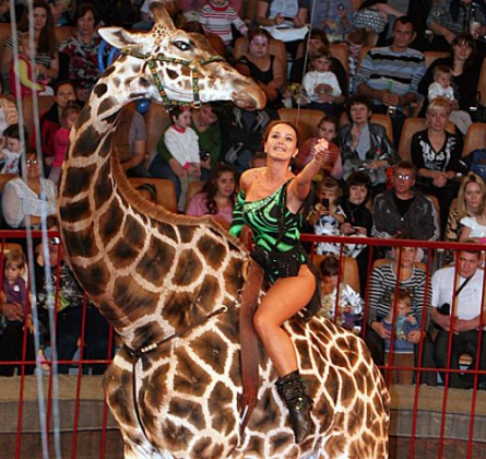 ЖИРАФ ШОУ