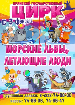 ЦИРК | Шоу морских львов