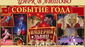 Империя львиц