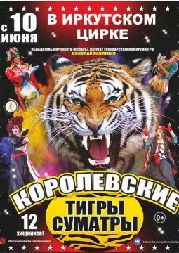 Тайна королевских тигров | Цирк