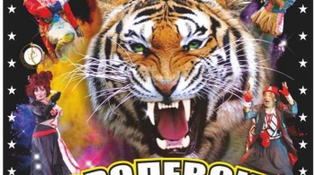 Тайна королевских тигров | Цирк