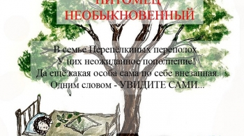 Питомец необыкновенный | Театр Данделионы