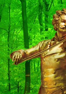 Штраус-гала | Сказки Венского леса